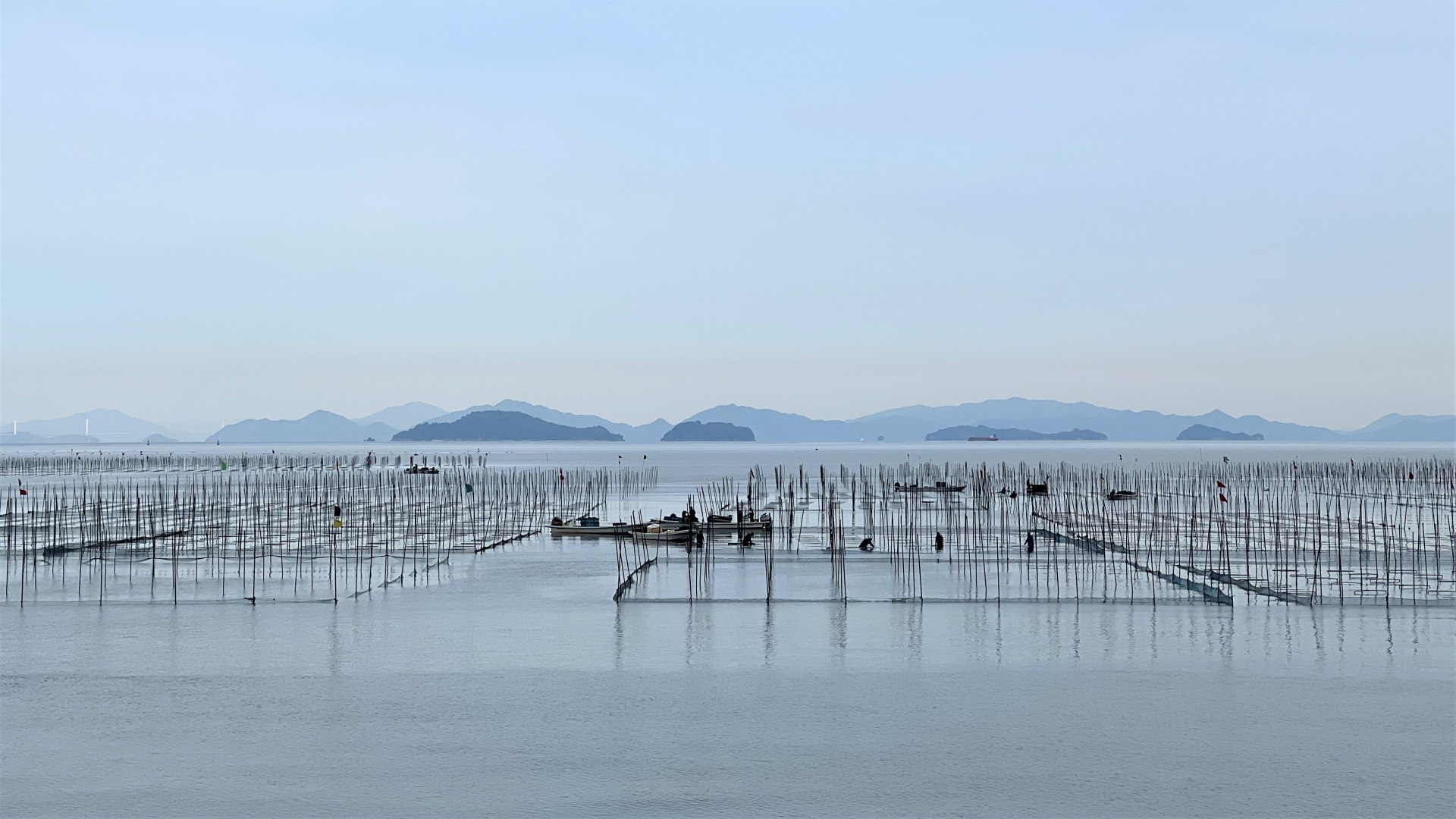 韓国海苔