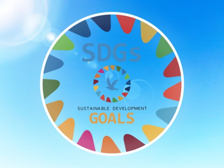 SDGs