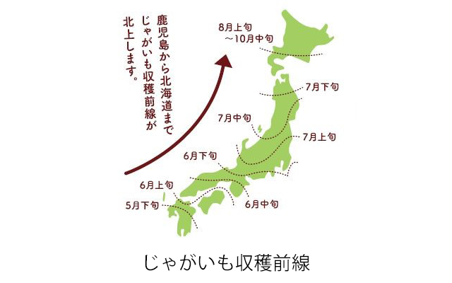 夏ポテト
